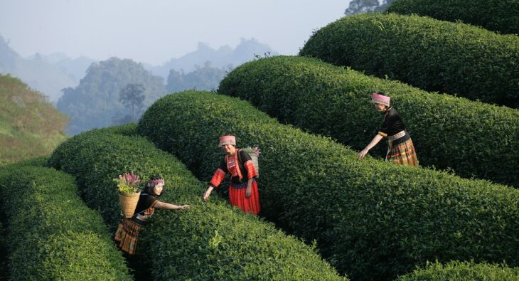 Bony żywieniowe kontra karta lunchowa: Które rozwiązanie zyska Twoje serce?